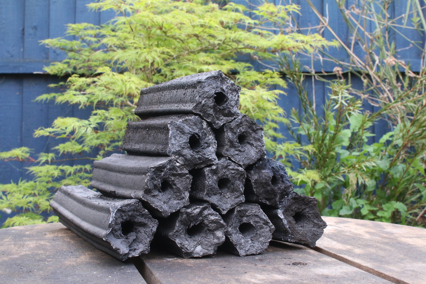 Vina Charcoal
